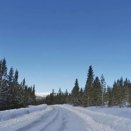 Three-bedroom In * Sjusjoen
