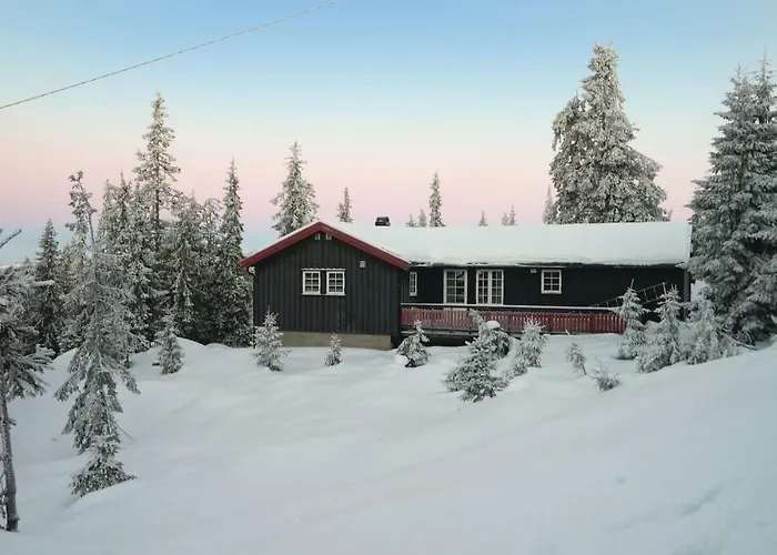 Three-bedroom In * Sjusjoen