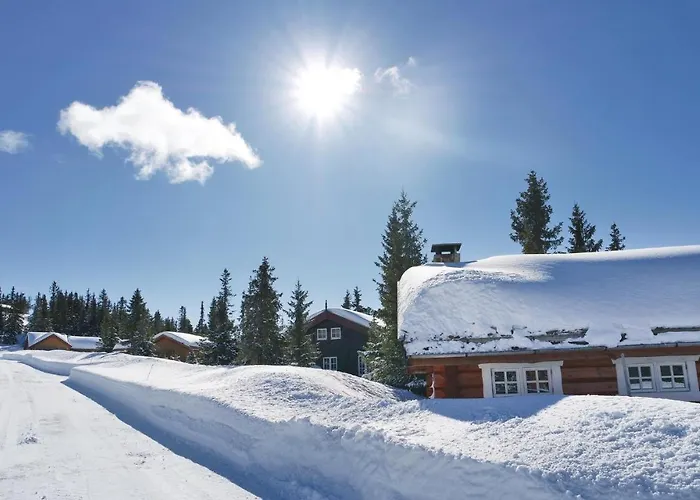 Three-bedroom In Sjusjoen