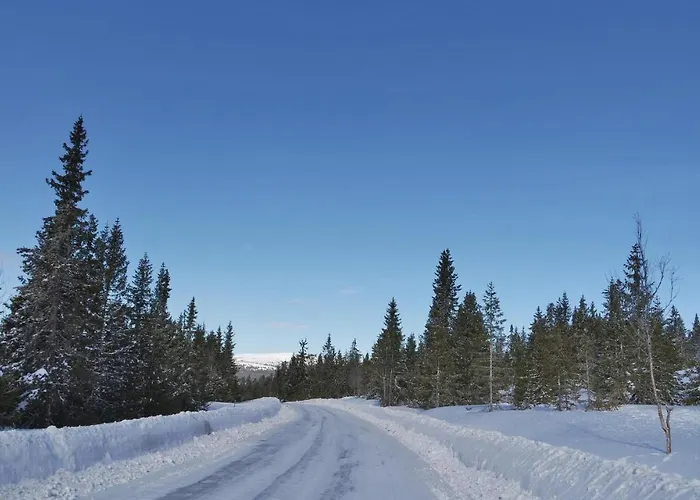 Three-bedroom In * Sjusjoen
